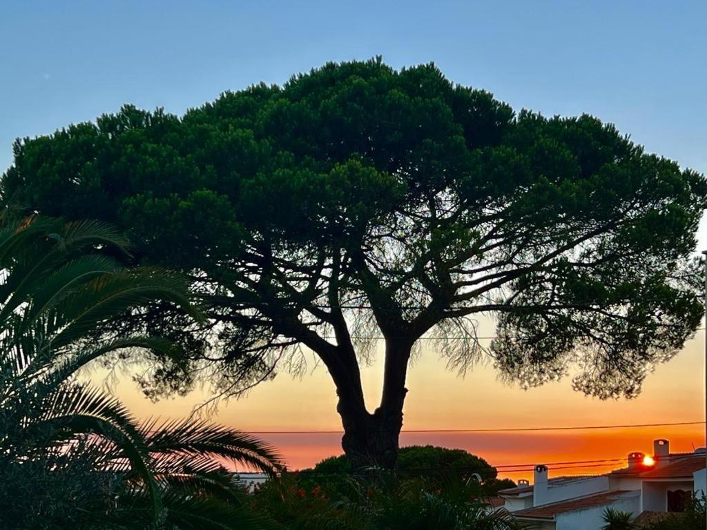 Vila De Sol Σεσίμπρα Εξωτερικό φωτογραφία