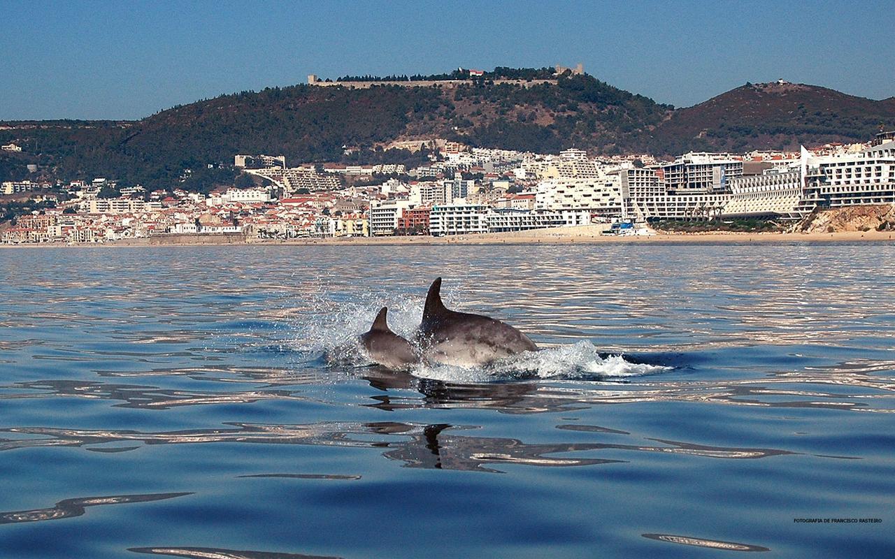 Vila De Sol Σεσίμπρα Εξωτερικό φωτογραφία